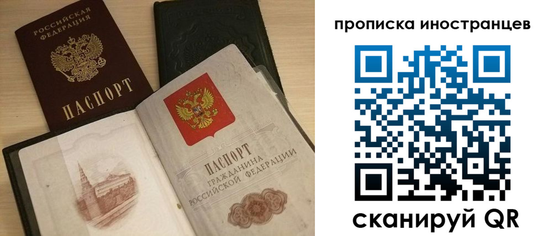 прописка в квартире в Ленинградской области